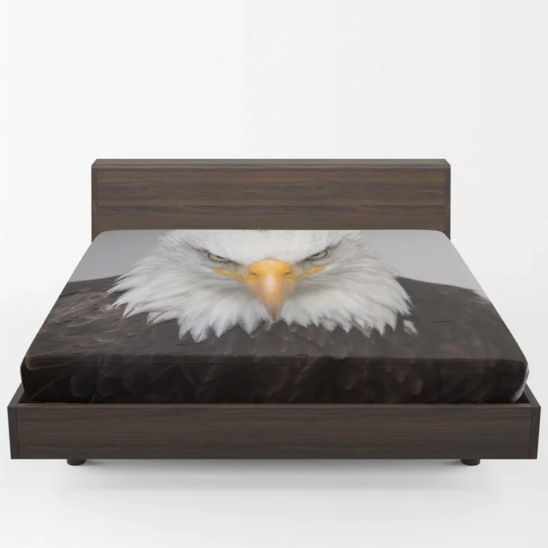 Bald Eagle Fierce Gaze Sky Hunter Fitted Sheet