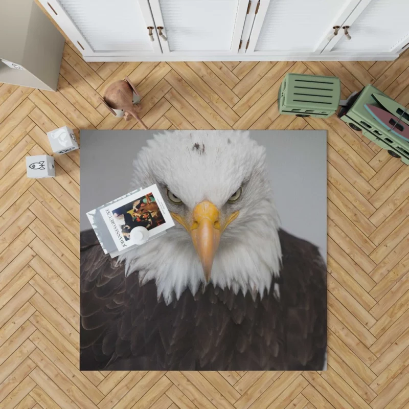 Bald Eagle Fierce Gaze Sky Hunter Rug