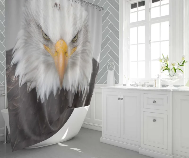 Bald Eagle Fierce Gaze Sky Hunter Shower Curtain 1