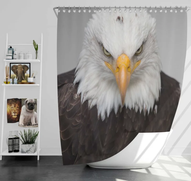 Bald Eagle Fierce Gaze Sky Hunter Shower Curtain