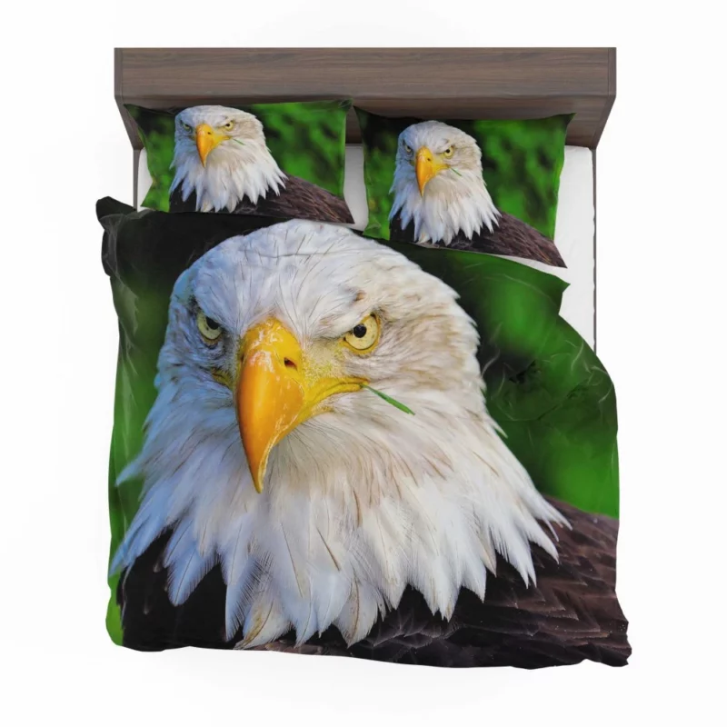 Bald Eagle Fierce Stare Predatory Watch Bedding Set 1