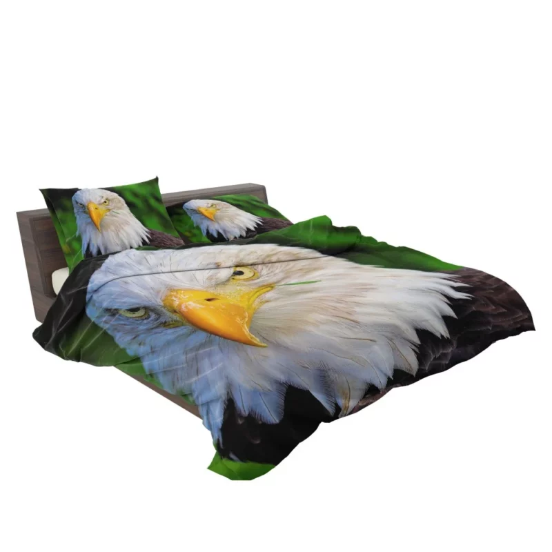 Bald Eagle Fierce Stare Predatory Watch Bedding Set 2