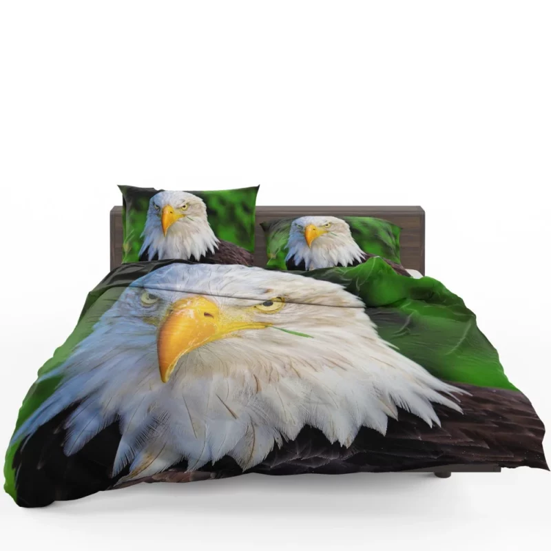 Bald Eagle Fierce Stare Predatory Watch Bedding Set