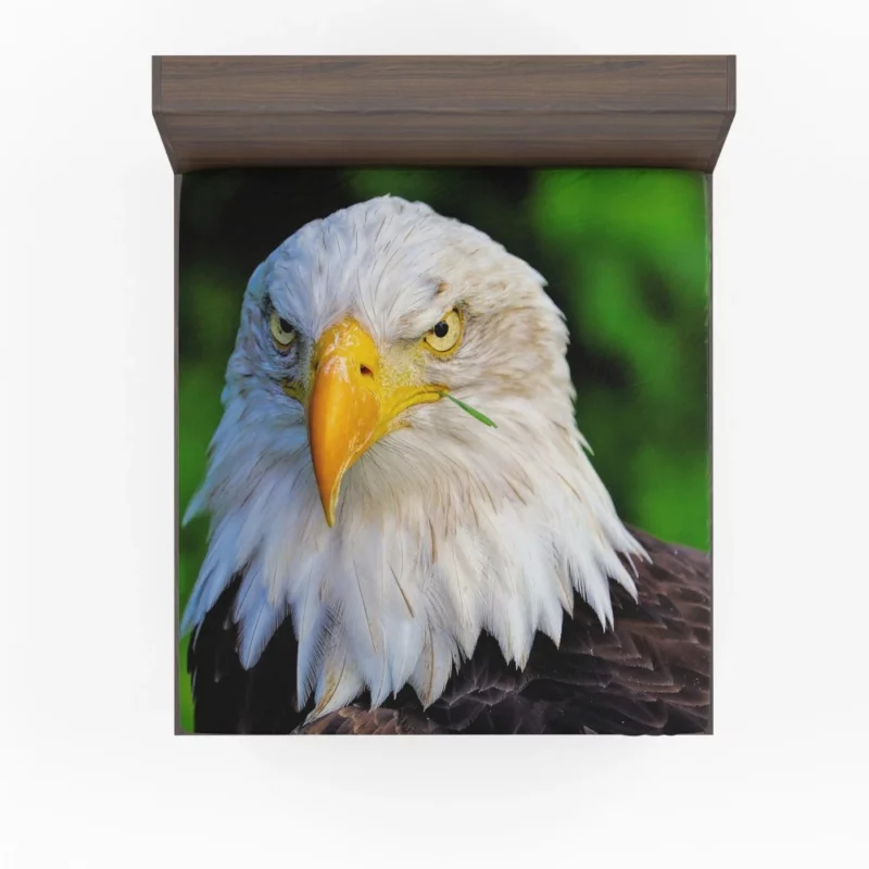 Bald Eagle Fierce Stare Predatory Watch Fitted Sheet 1