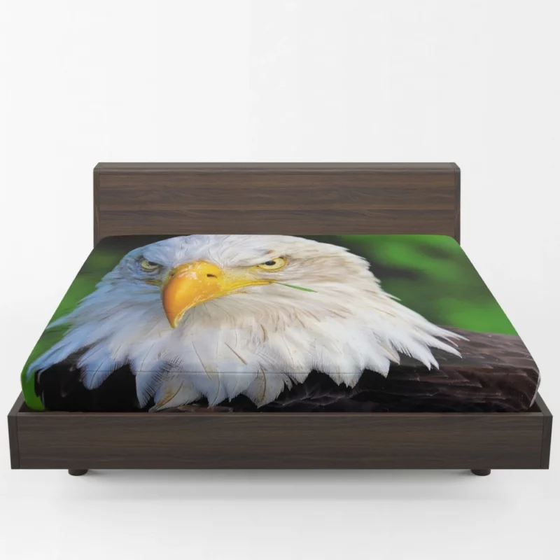 Bald Eagle Fierce Stare Predatory Watch Fitted Sheet