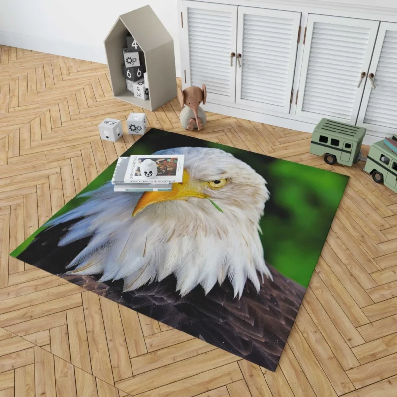 Bald Eagle Fierce Stare Predatory Watch Rug 1