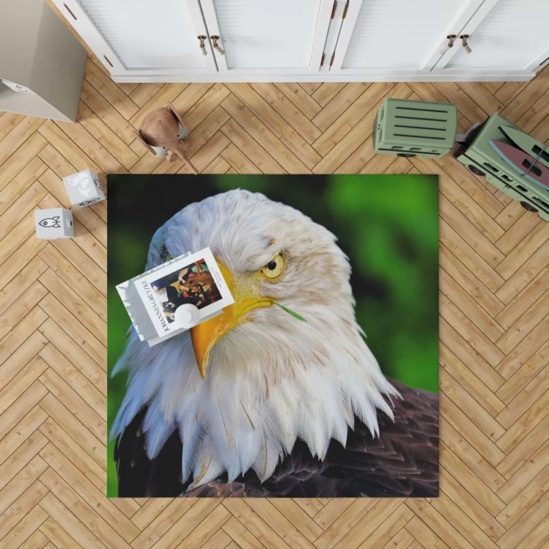 Bald Eagle Fierce Stare Predatory Watch Rug