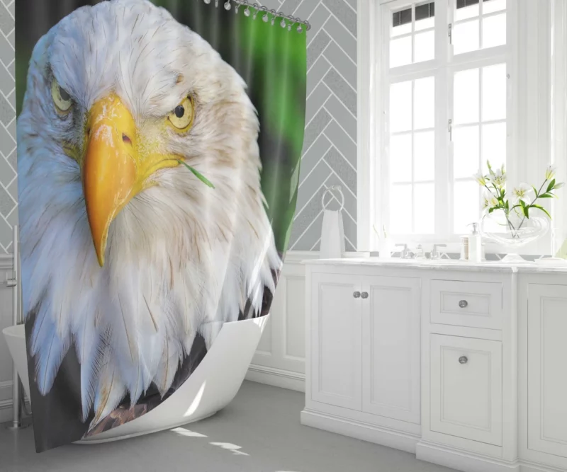 Bald Eagle Fierce Stare Predatory Watch Shower Curtain 1