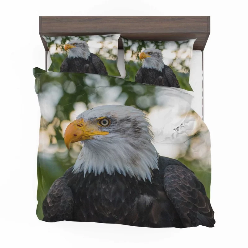 Bald Eagle Majestic Pose Soaring Beauty Bedding Set 1