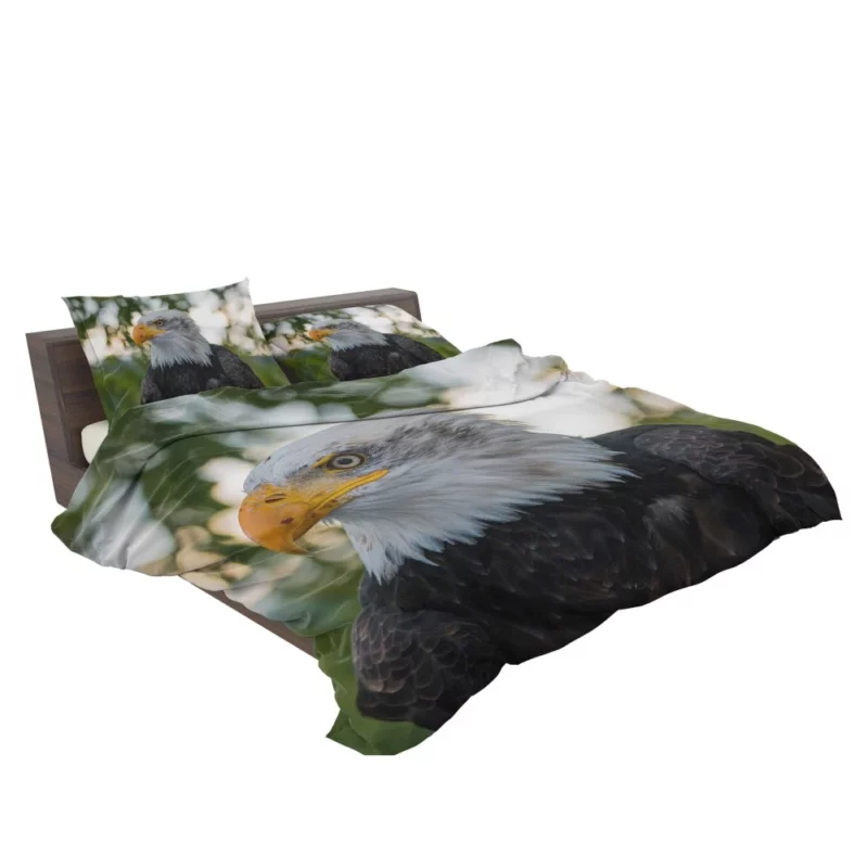 Bald Eagle Majestic Pose Soaring Beauty Bedding Set 2