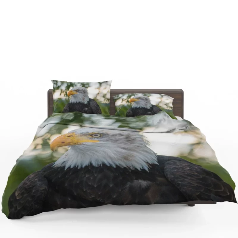 Bald Eagle Majestic Pose Soaring Beauty Bedding Set