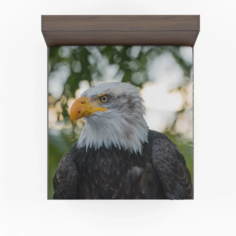 Bald Eagle Majestic Pose Soaring Beauty Fitted Sheet 1