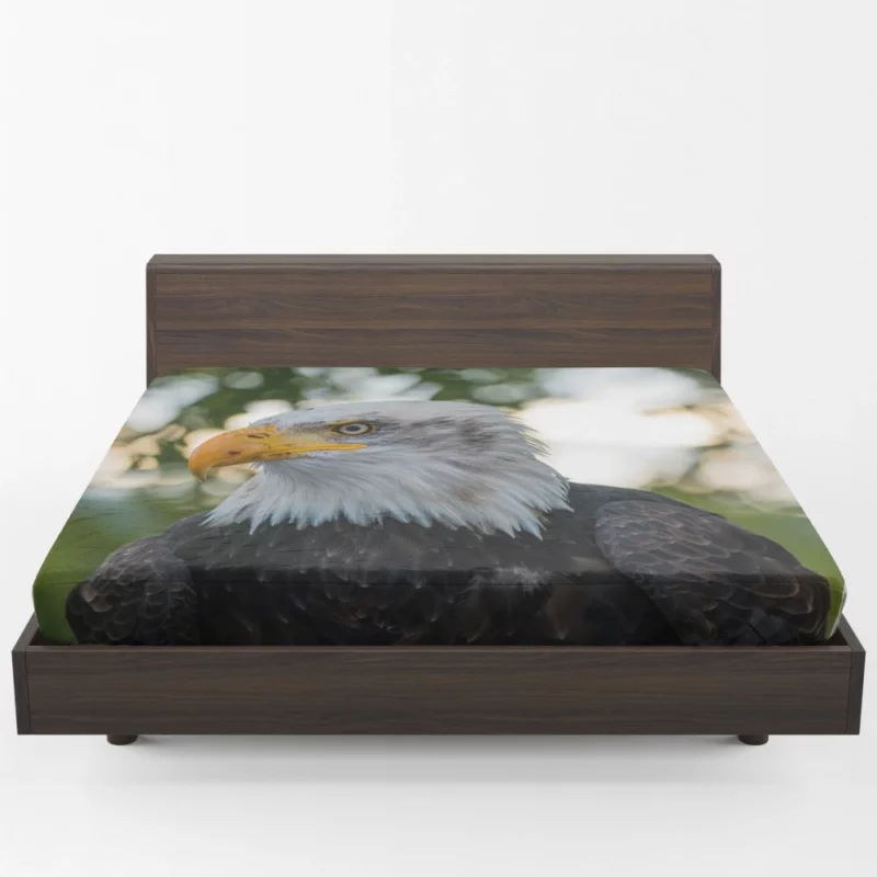 Bald Eagle Majestic Pose Soaring Beauty Fitted Sheet