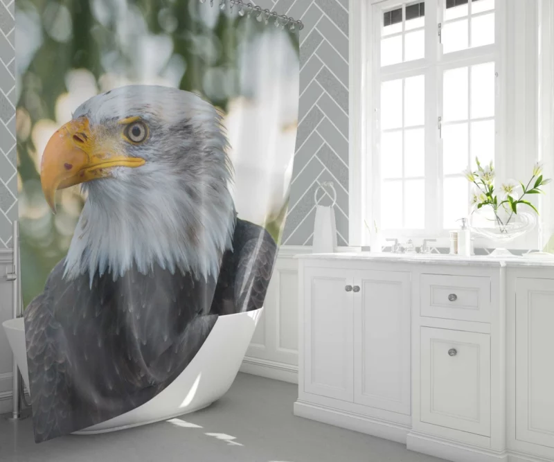 Bald Eagle Majestic Pose Soaring Beauty Shower Curtain 1