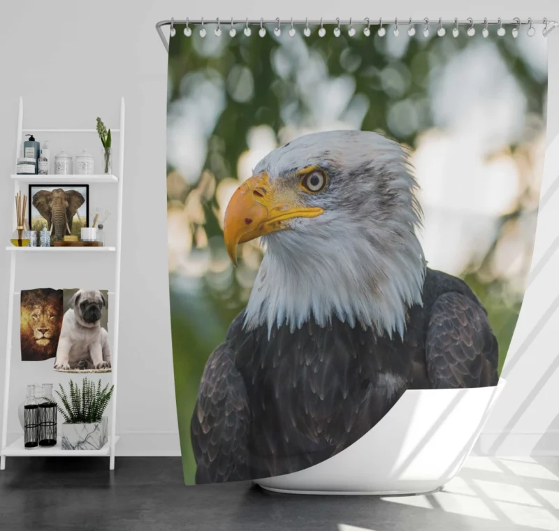 Bald Eagle Majestic Pose Soaring Beauty Shower Curtain