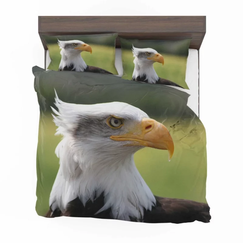 Bald Eagle Mighty Presence Soaring Majesty Bedding Set 1