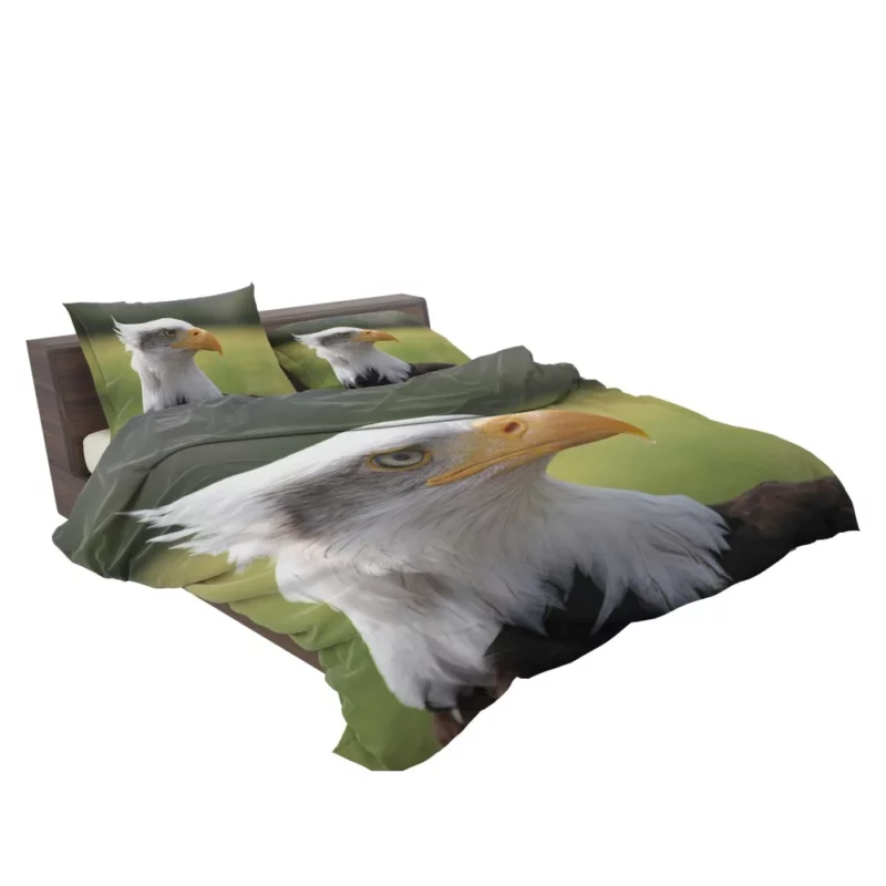 Bald Eagle Mighty Presence Soaring Majesty Bedding Set 2