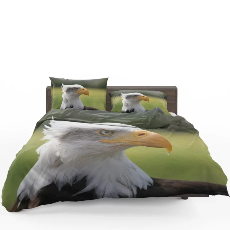 Bald Eagle Mighty Presence Soaring Majesty Bedding Set