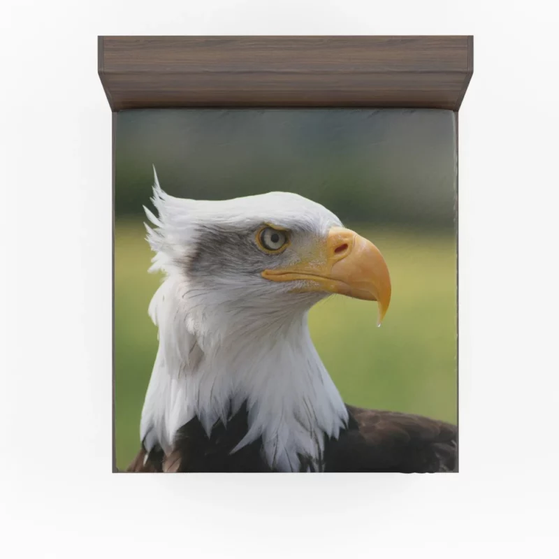 Bald Eagle Mighty Presence Soaring Majesty Fitted Sheet 1