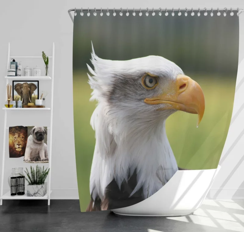 Bald Eagle Mighty Presence Soaring Majesty Shower Curtain