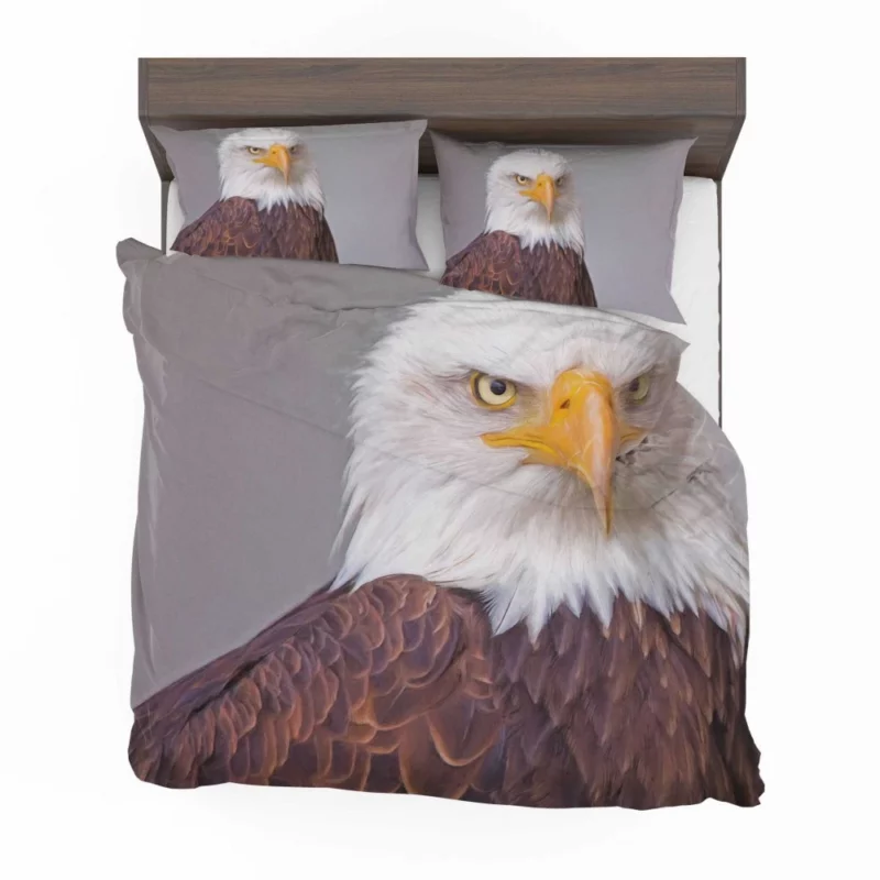 Bald Eagle Skyward Stance Aerial Majesty Bedding Set 1