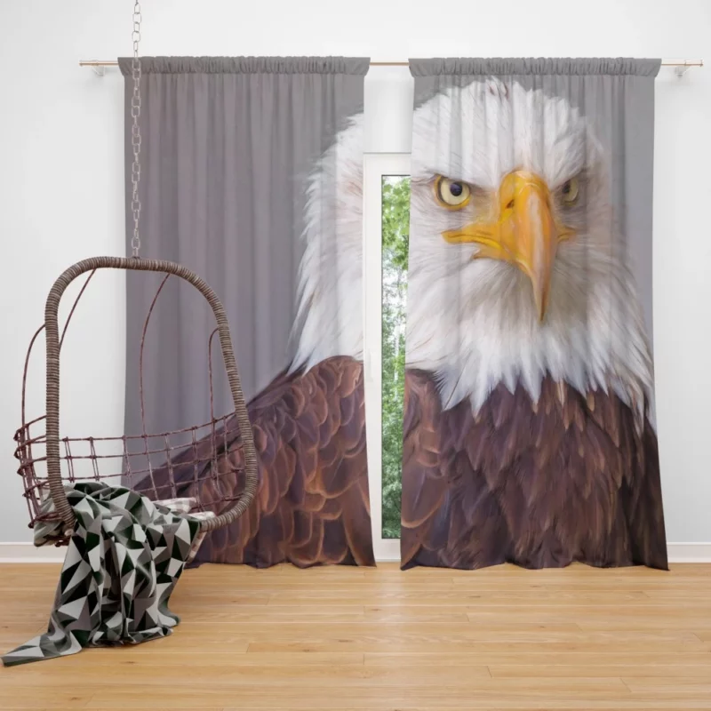 Bald Eagle Skyward Stance Aerial Majesty Curtain