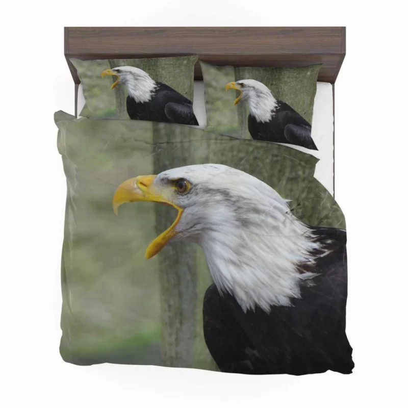 Bald Eagle Soaring Call Majestic Hunter Bedding Set 1