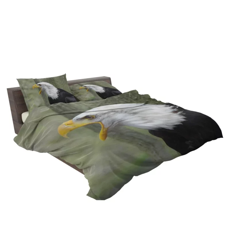 Bald Eagle Soaring Call Majestic Hunter Bedding Set 2