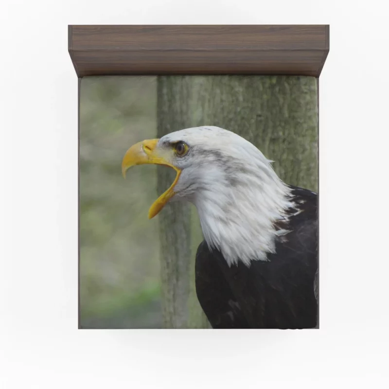 Bald Eagle Soaring Call Majestic Hunter Fitted Sheet 1