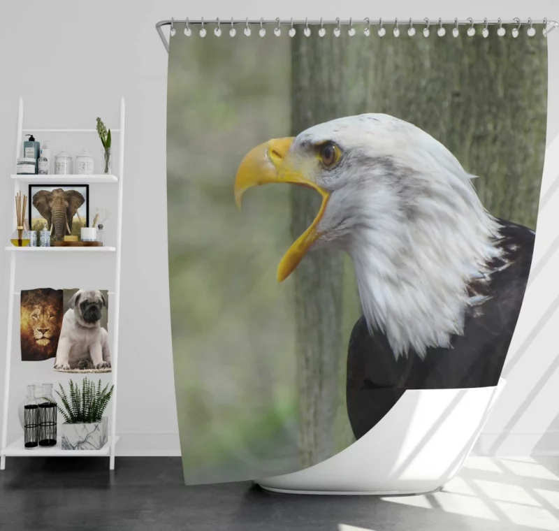 Bald Eagle Soaring Call Majestic Hunter Shower Curtain