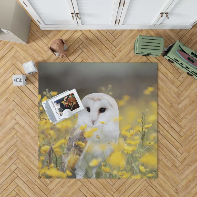 Barn Owl Nocturnal Majesty Silent Stare Rug