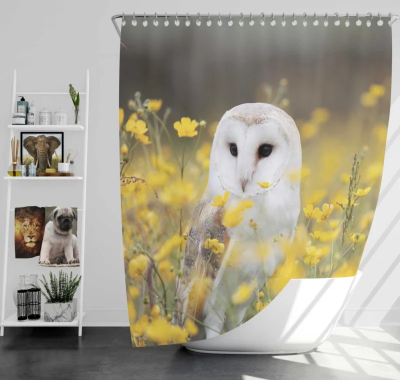 Barn Owl Nocturnal Majesty Silent Stare Shower Curtain