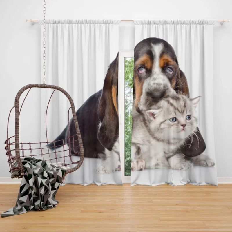 Basset Hound & Kitten Furry Friendship Curtain