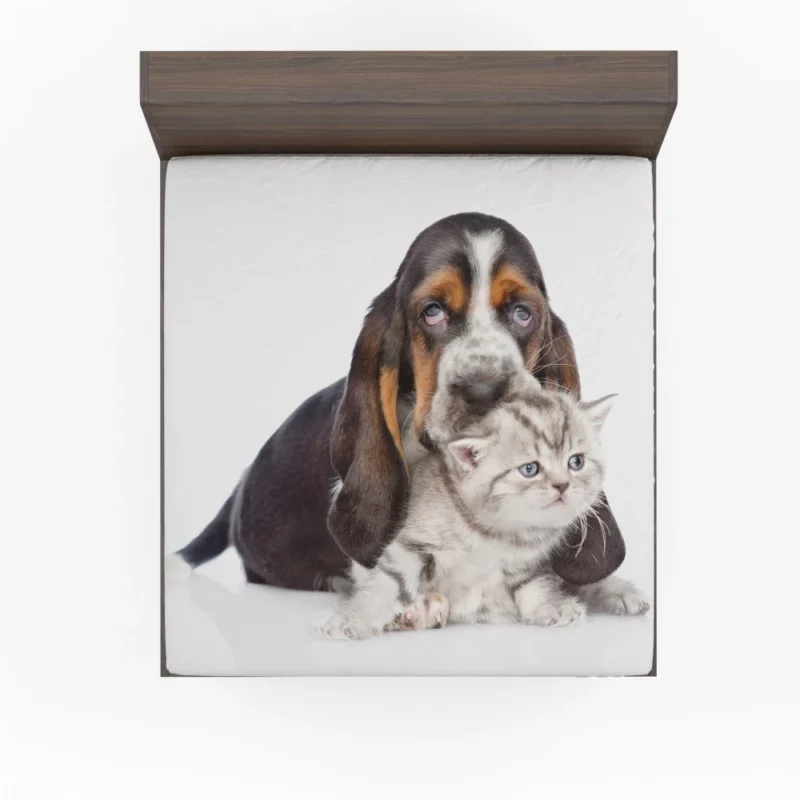 Basset Hound & Kitten Furry Friendship Fitted Sheet 1