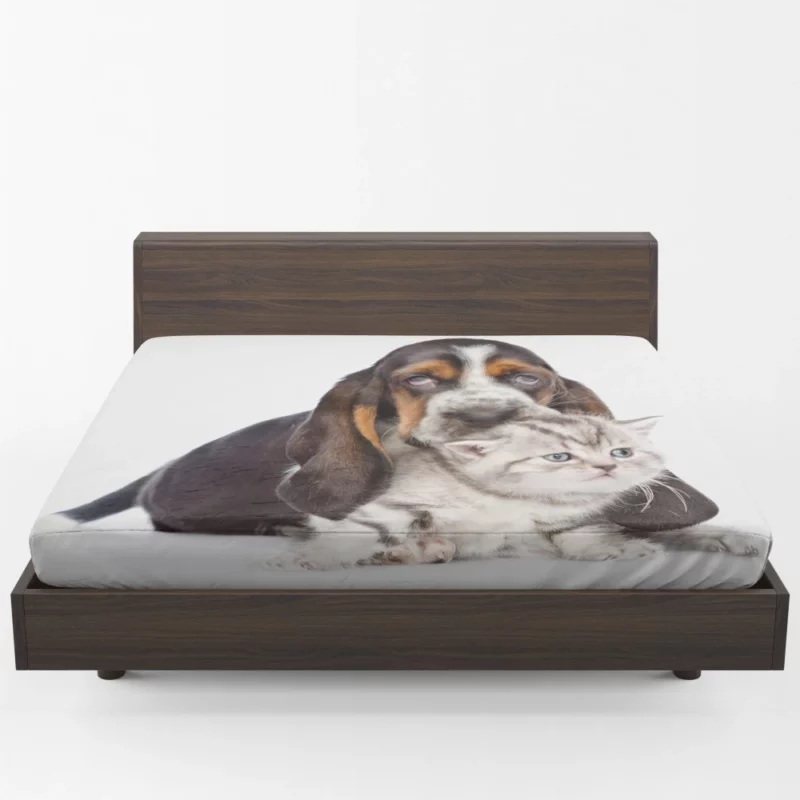 Basset Hound & Kitten Furry Friendship Fitted Sheet