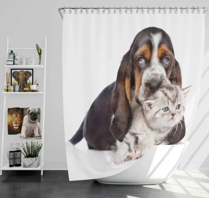 Basset Hound & Kitten Furry Friendship Shower Curtain