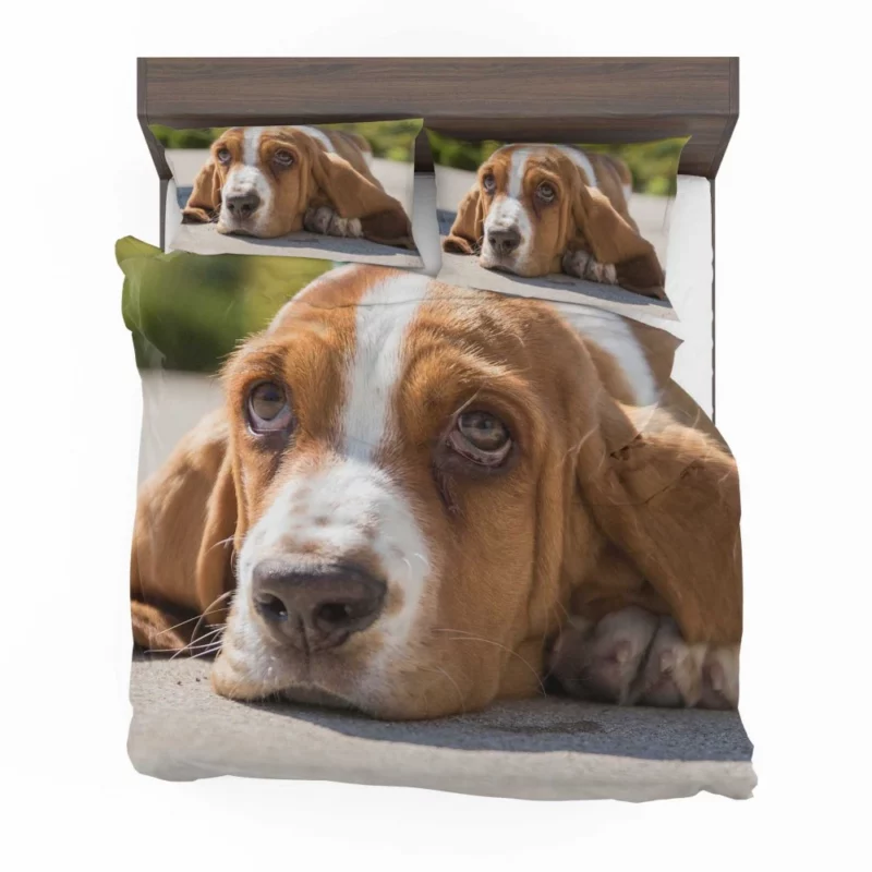 Basset Hound Muzzle Thoughtful Pondering Bedding Set 1