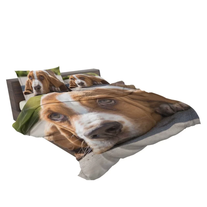 Basset Hound Muzzle Thoughtful Pondering Bedding Set 2