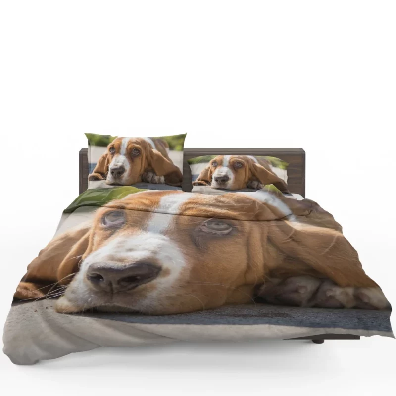 Basset Hound Muzzle Thoughtful Pondering Bedding Set