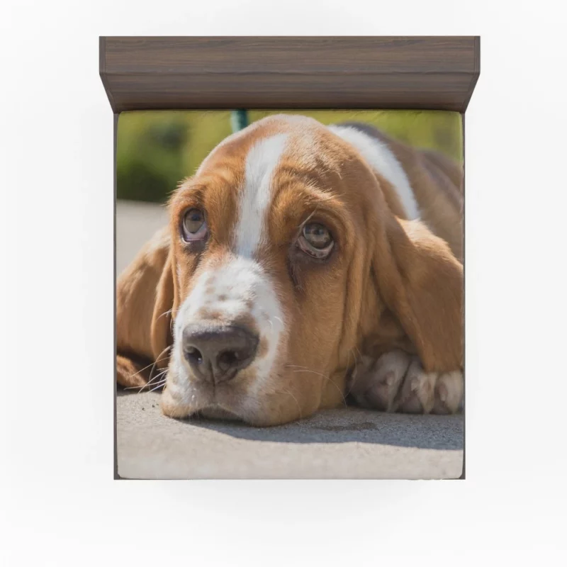 Basset Hound Muzzle Thoughtful Pondering Fitted Sheet 1