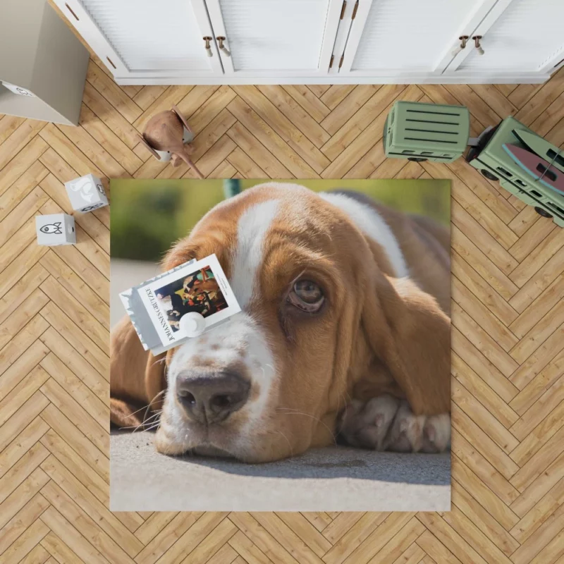 Basset Hound Muzzle Thoughtful Pondering Rug