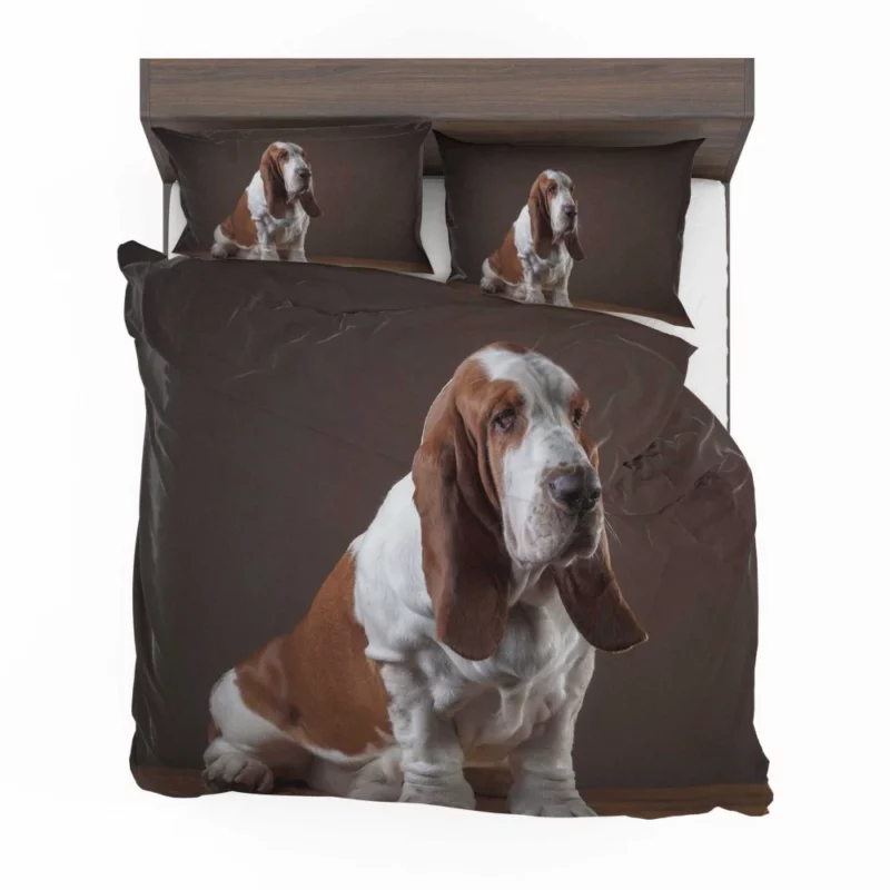 Basset Hound Quirky Charisma Bedding Set 1