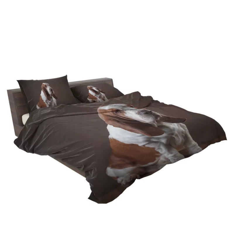 Basset Hound Quirky Charisma Bedding Set 2