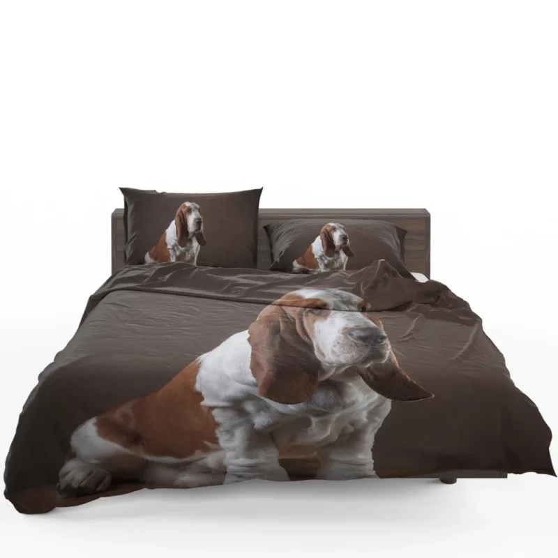 Basset Hound Quirky Charisma Bedding Set