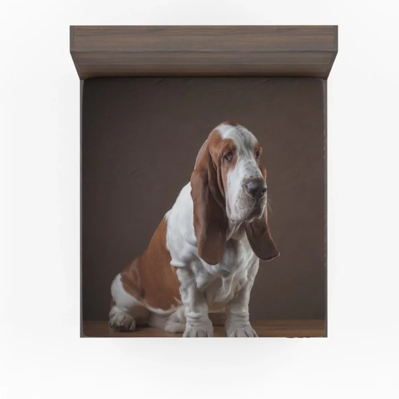 Basset Hound Quirky Charisma Fitted Sheet 1