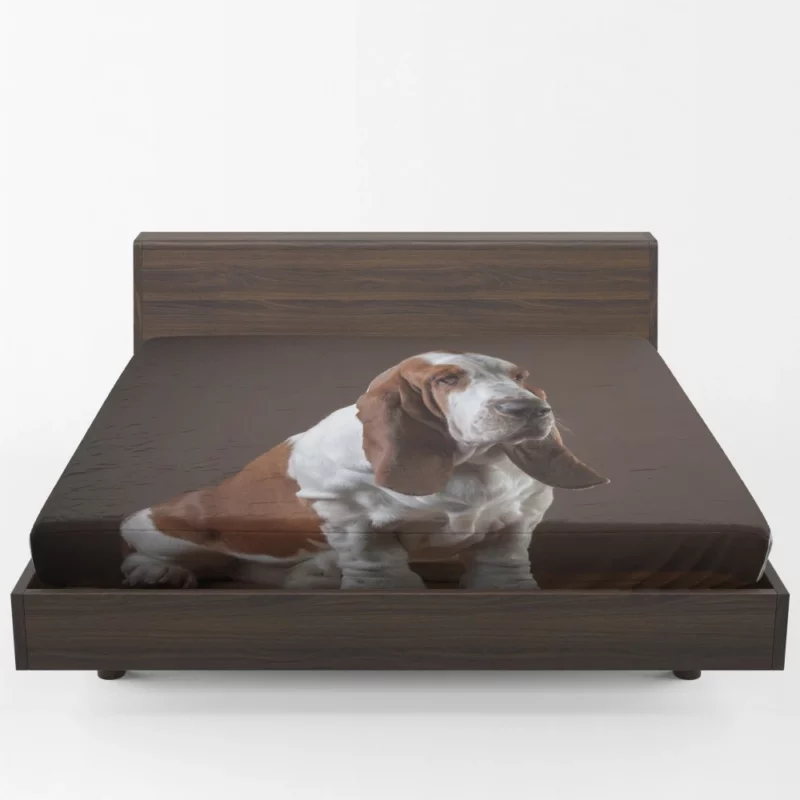 Basset Hound Quirky Charisma Fitted Sheet