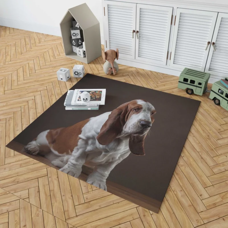 Basset Hound Quirky Charisma Rug 1