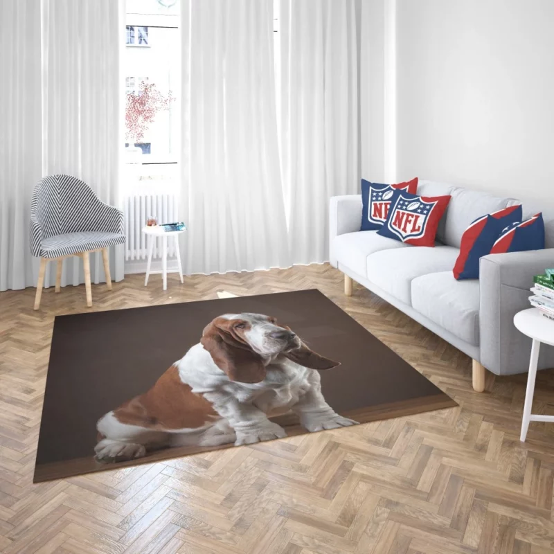 Basset Hound Quirky Charisma Rug 2