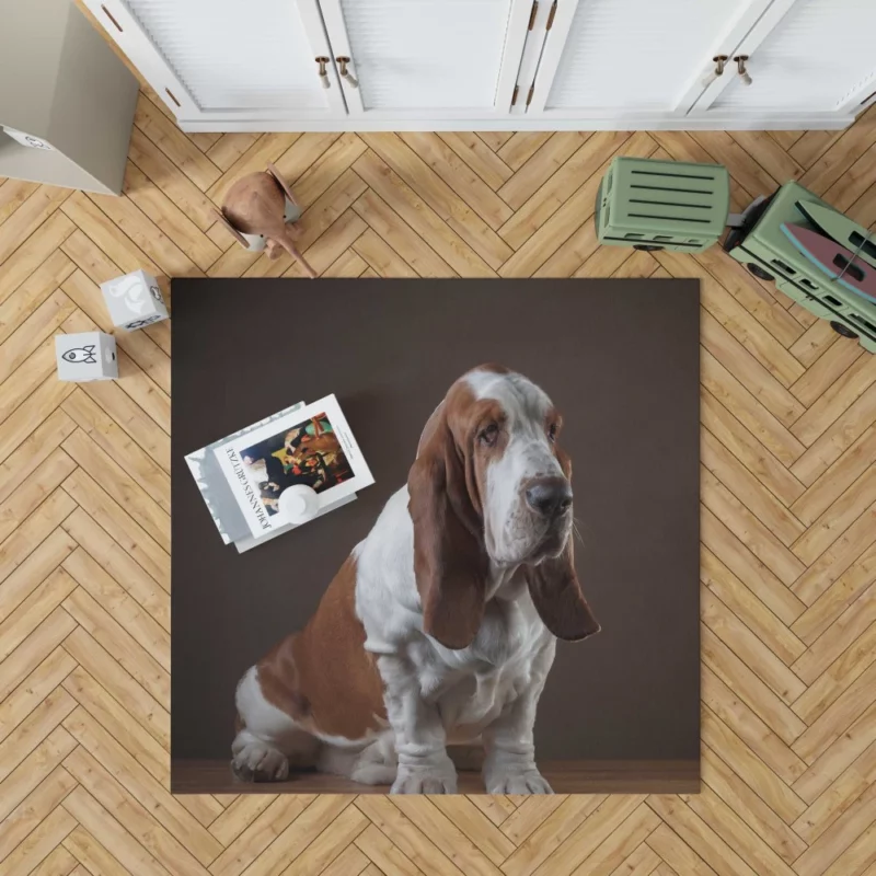 Basset Hound Quirky Charisma Rug