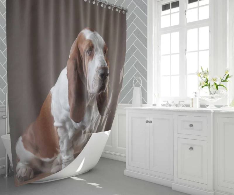 Basset Hound Quirky Charisma Shower Curtain 1